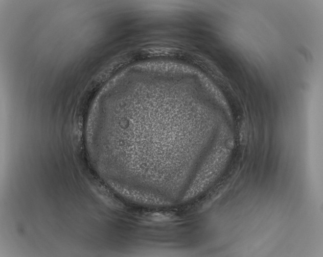 X0000113330737200910051145