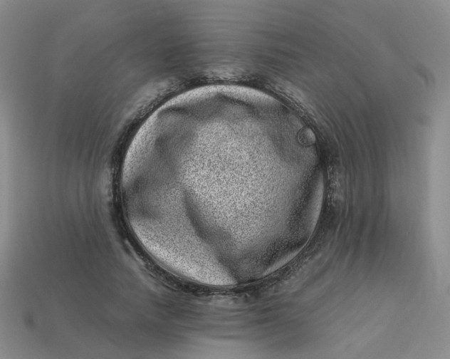 X0000113330738200910051145