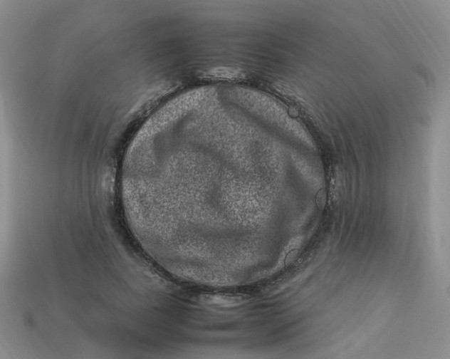 X0000113330739200910051145
