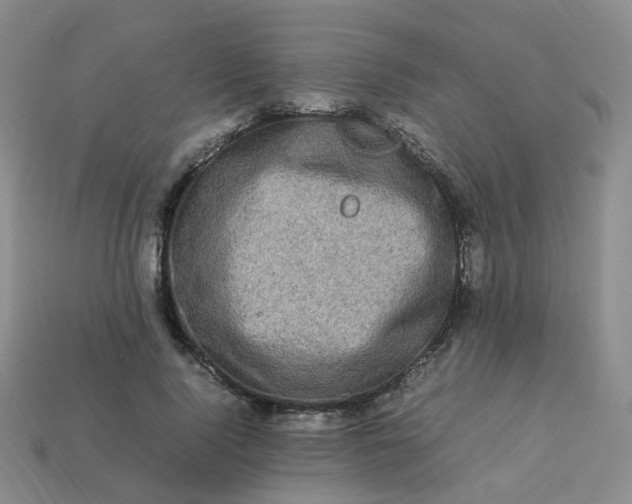 X0000113330740200910051145