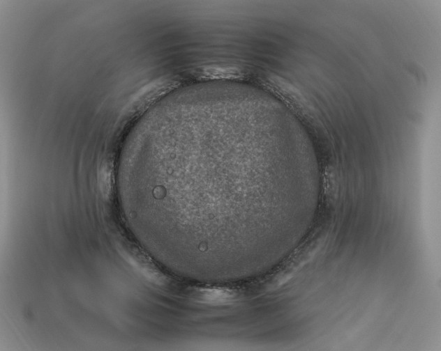 X0000113330741200910051145
