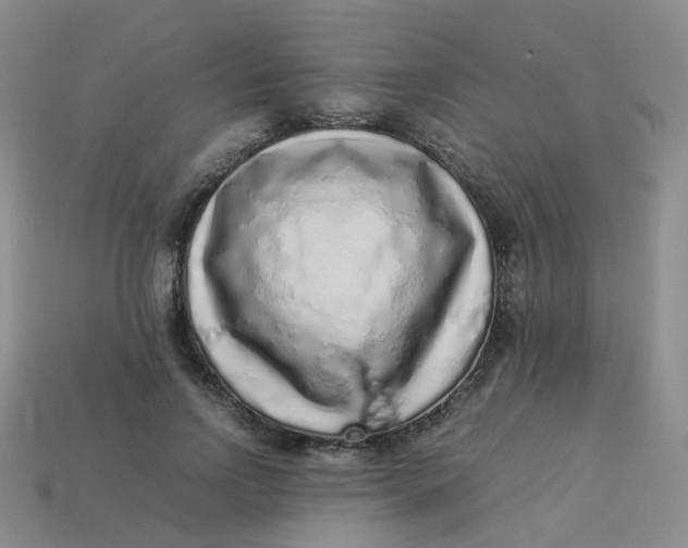 X0000113330742200910051146