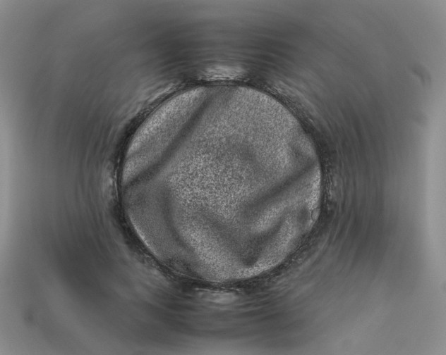 X0000113330743200910051146