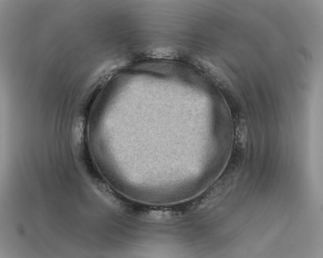 X0000113330744200910051146