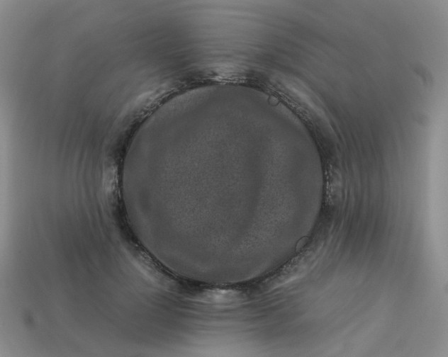 X0000113330748200910051146