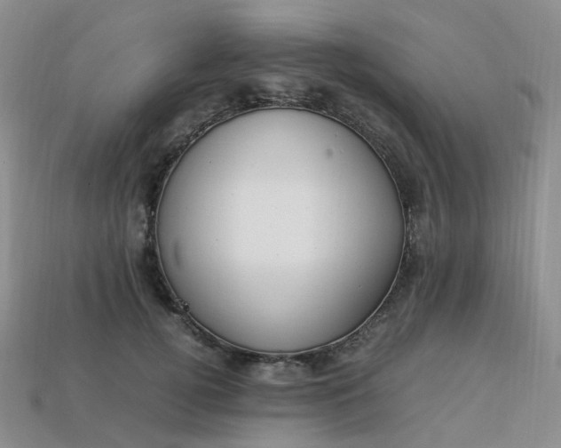 X0000113330752200910051146