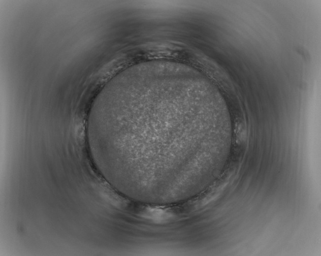 X0000113330753200910051146