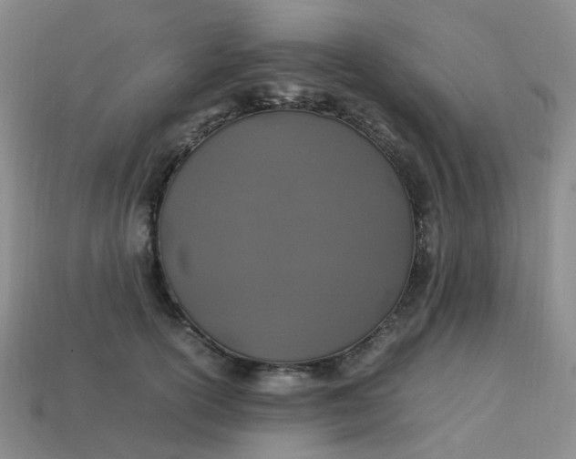 X0000113330754200910051146