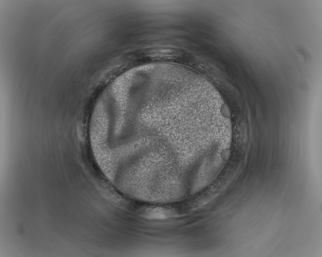 X0000113330755200910051146