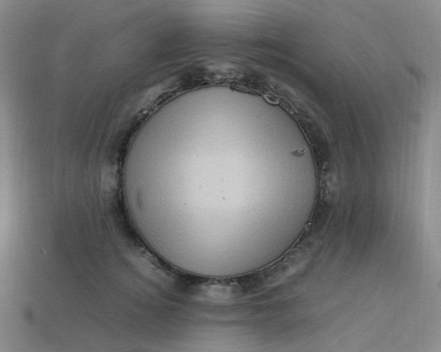 X0000113330756200910051146