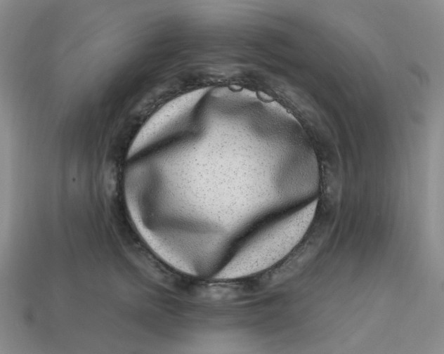 X0000113330758200910051146