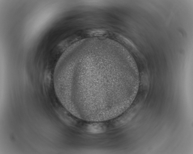 X0000113330761200910051146
