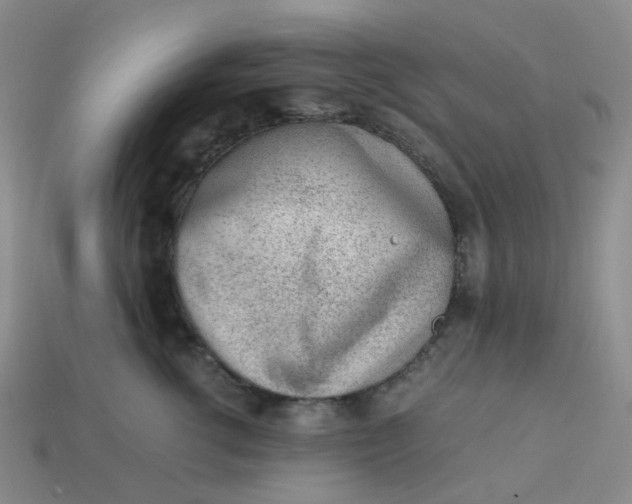 X0000113330762200910051146