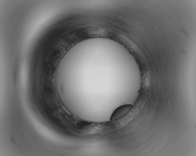 X0000113330764200910051146