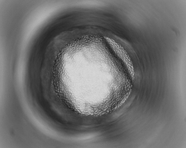 X0000113330765200910051146