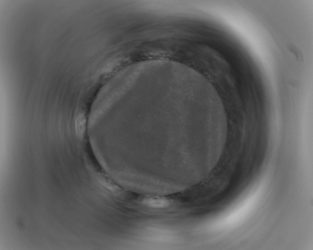 X0000113330767200910051146