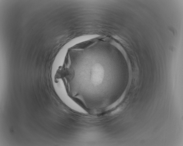 X0000113330768200910051146