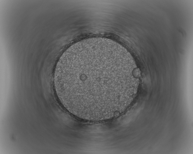 X0000113330769200910051145