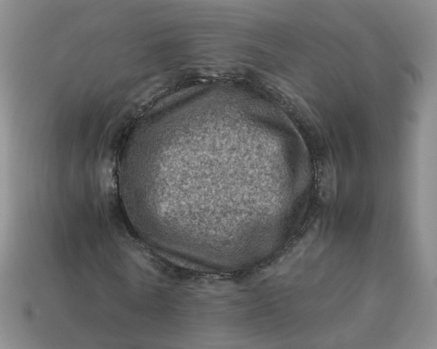 X0000113330770200910051145
