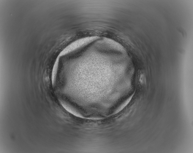 X0000113330771200910051145
