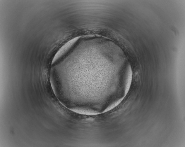 X0000113330772200910051145