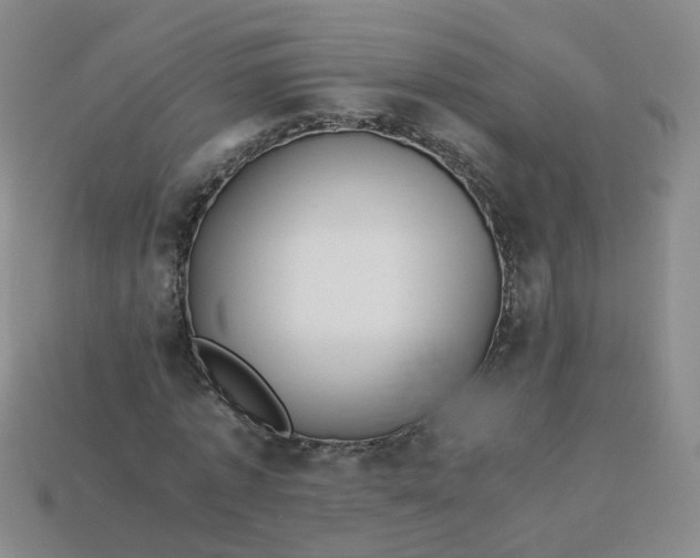 X0000113330773200910051145