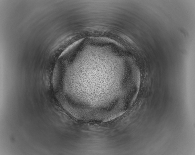 X0000113330774200910051145