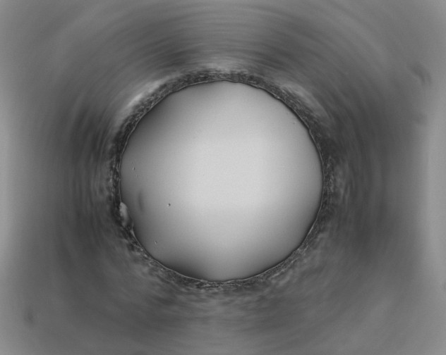 X0000113330776200910051145