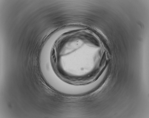 X0000113330777200910051145