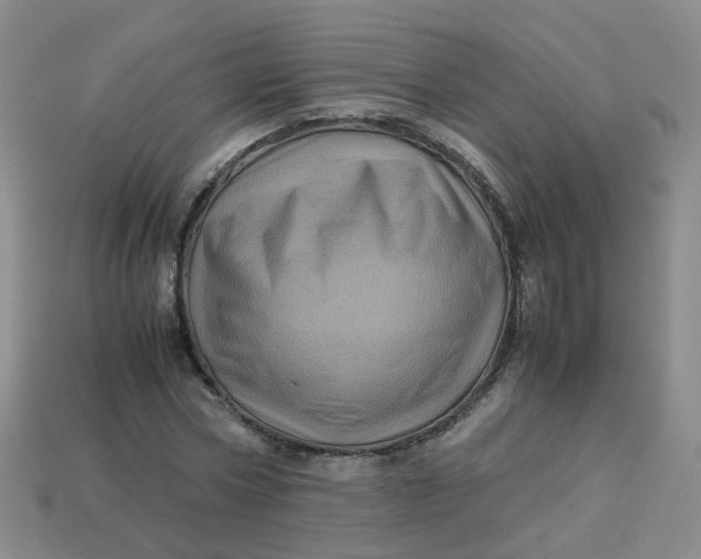 X0000113330778200910051145