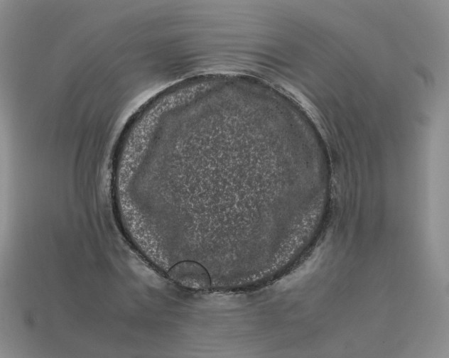 X0000113330779200910051145