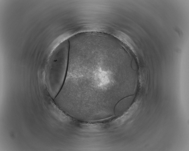 X0000113330781200910051145