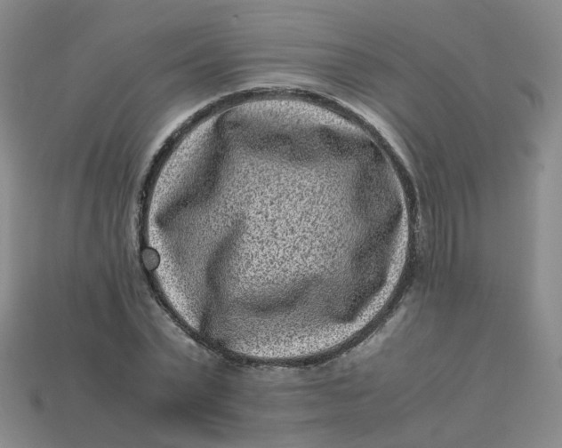 X0000113330783200910051145