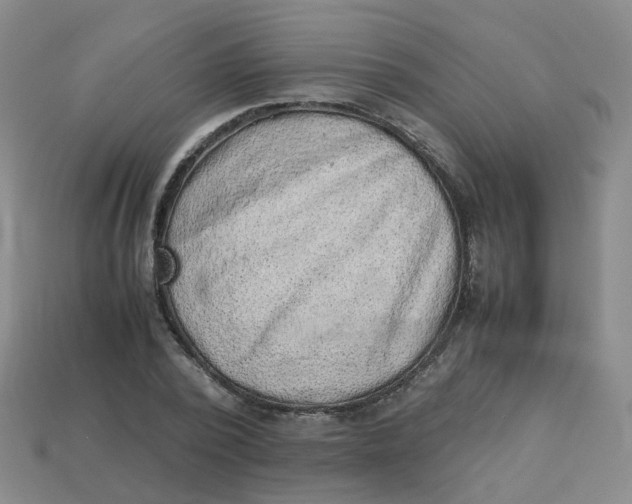 X0000113330784200910051145
