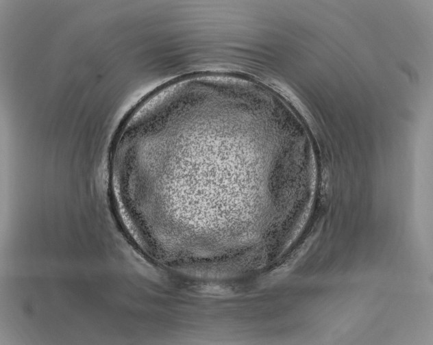 X0000113330787200910051145