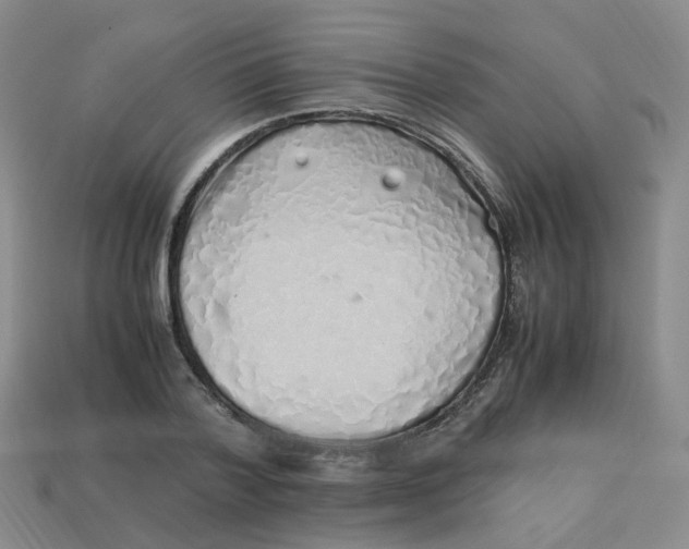 X0000113330788200910051145