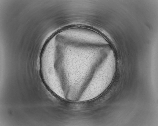 X0000113330791200910051145