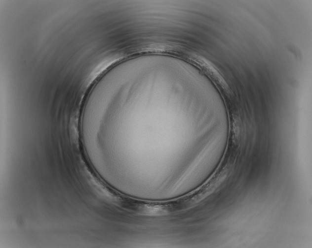 X0000113330794200910051145