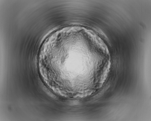 X0000113330798200910051145