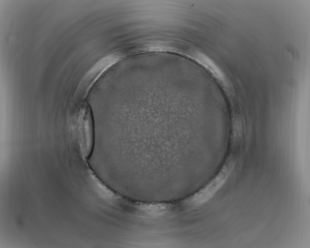 X0000113330801200910051145