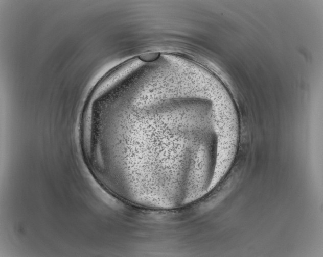 X0000113330803200910051145