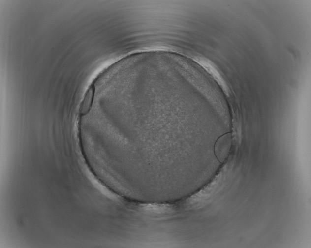 X0000113330805200910051145