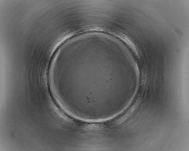 X0000113330806200910051145