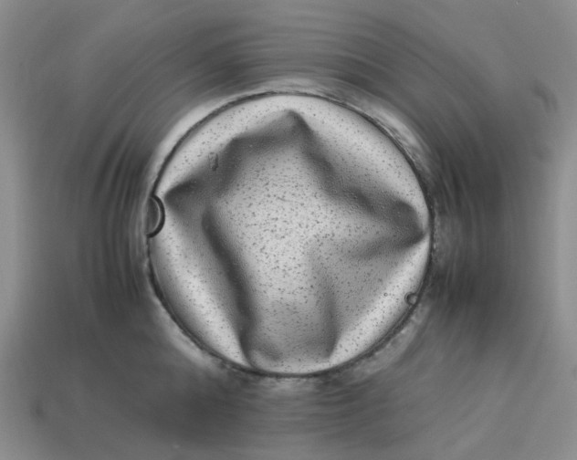 X0000113330808200910051145