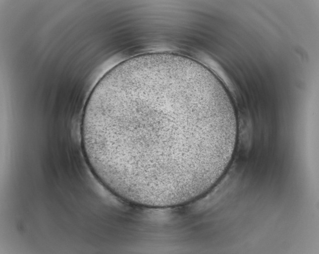 X0000113330810200910051145
