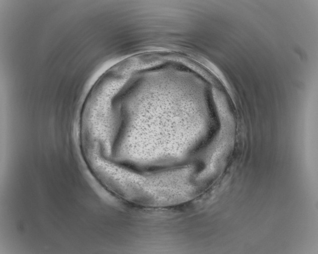 X0000113330811200910051145