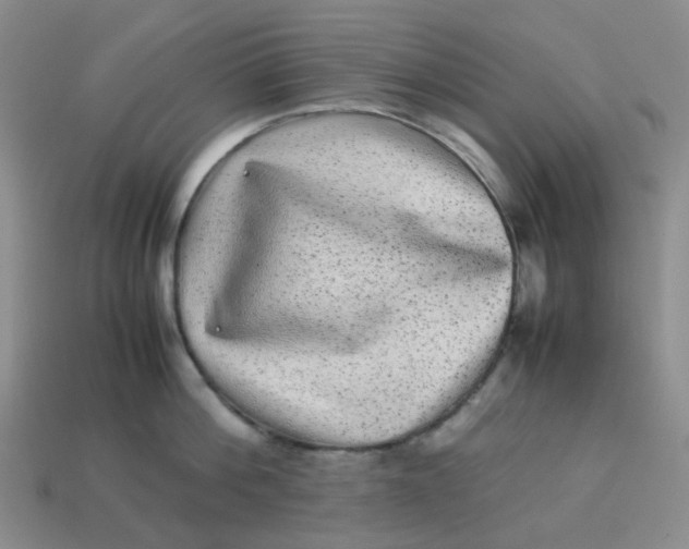 X0000113330812200910051145