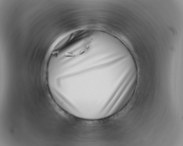 X0000113330816200910051145