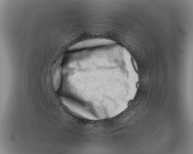 X0000113330817200910051144