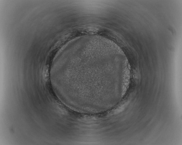 X0000113330818200910051144